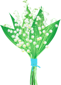 spring, flower background, spring bouquet-4982663.jpg